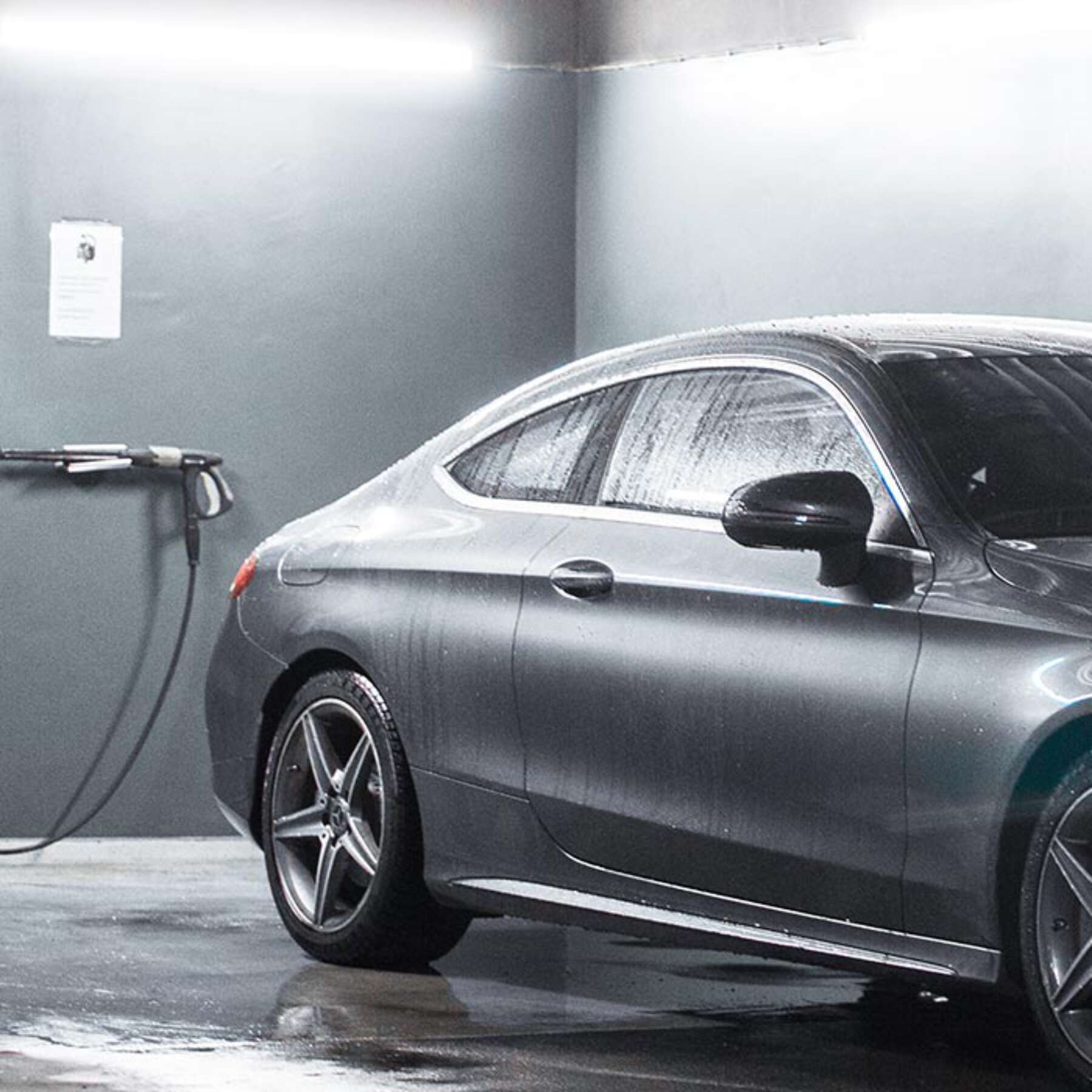 Descripción de la imagen